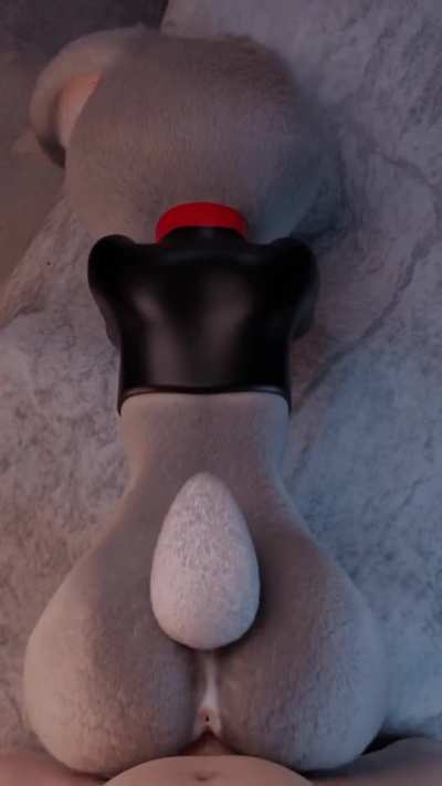 Bunny bouncing on dick