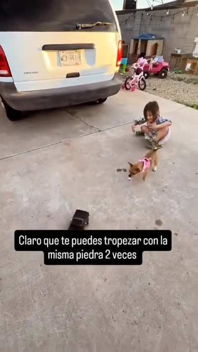 double fall