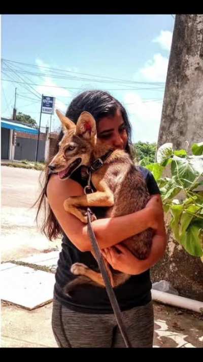 She adopted a lost puppy in the woods he is a bit bitey but loves the hugs