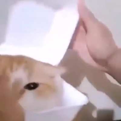 Noooooooo!!!