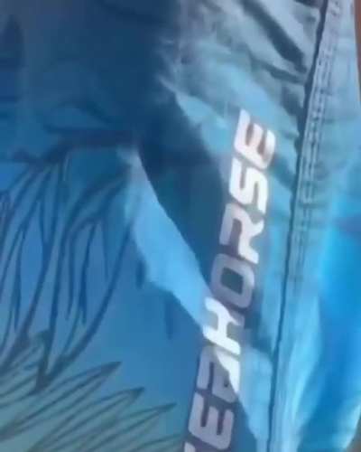 Só beca de qualidade!