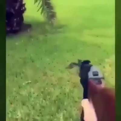 Fuck snakes