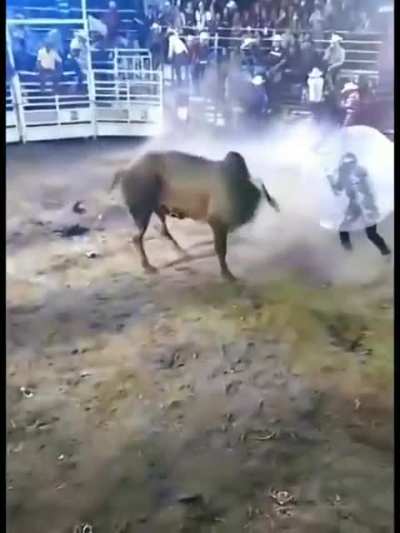 Pero se ve divertido jsjaja