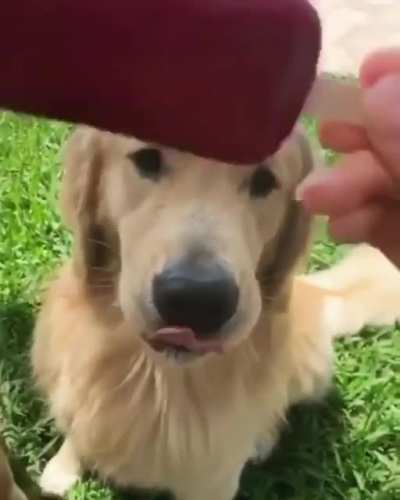 Sharing Is Caring