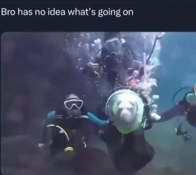 He has no idea🐙