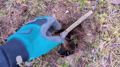 Подзе<wbr>мных лесных пчел убийц не сущес<wbr>твует<wbr>, они не могут навре<wbr>дить тебе, но...