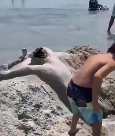 Beer Beach Man