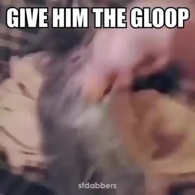 Gloop
