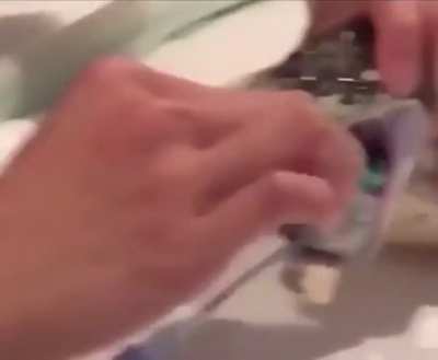they find WHAT