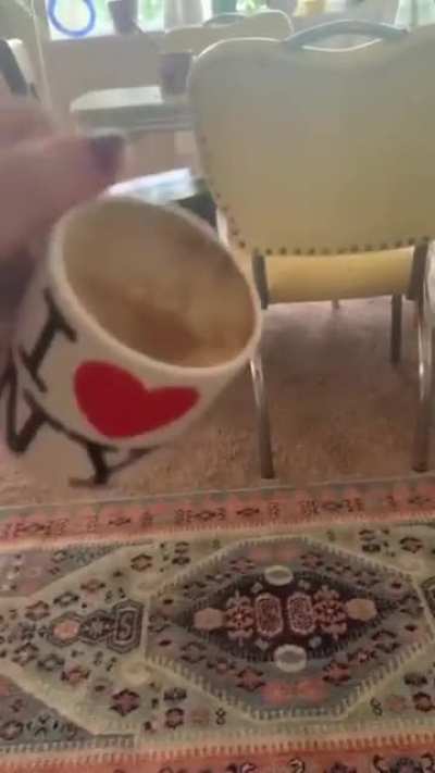 hope this isn’t a repost