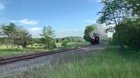 Squeaky whistles (Part 7)