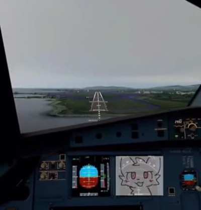 GUYS MY FLIGHT INSTRUMENTS ARE MALFUNCTIONING I AM POSTING THIS AS I APPROACH THE RUNWAY 