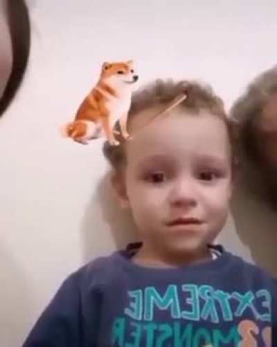 bonk