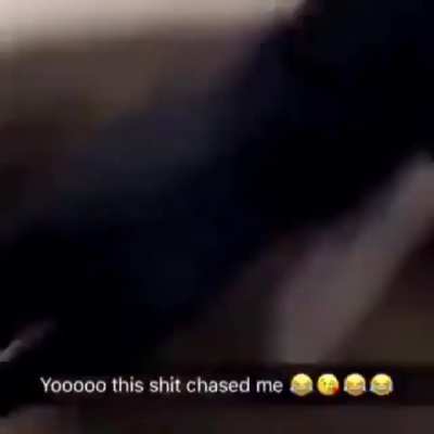 It crawls