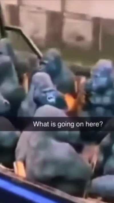 hooga ugga uh oonga