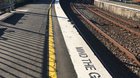 Wollstonecraft Snake update: I went back to the station because I was worried it had gone down onto the tracks. Station dude assured me it had turned straight around after this and gone across the grass and up a tree. All good!