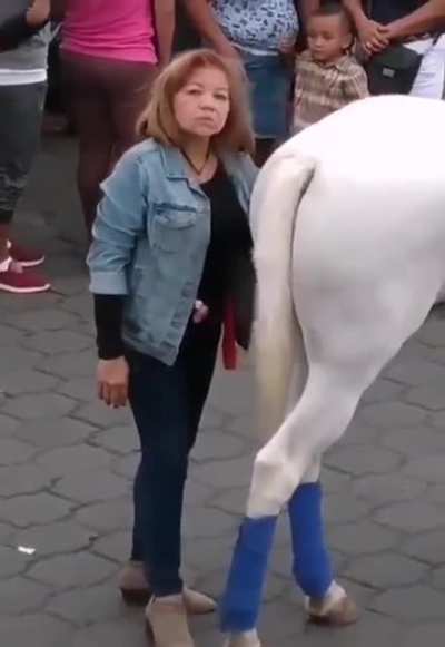 Horseplay