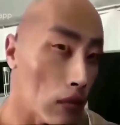 the wok (real)