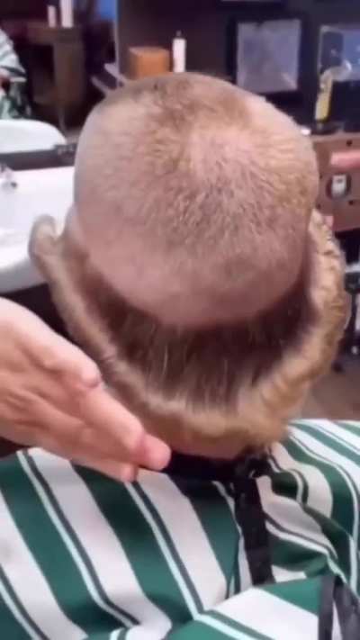First time in barbershop..