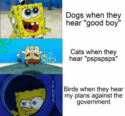 they know now