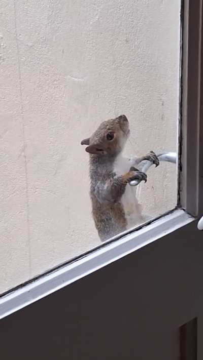 C'mon, I'm starving out here