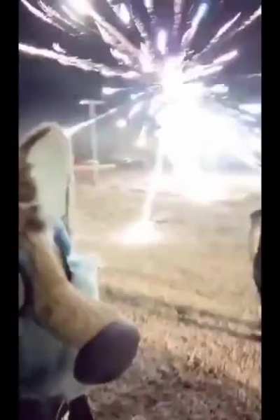 Furry🐶 + Fireworks🎆