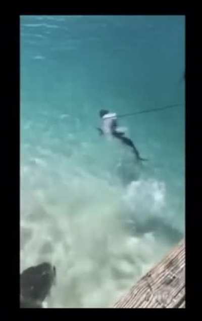 Kid in a shark pond