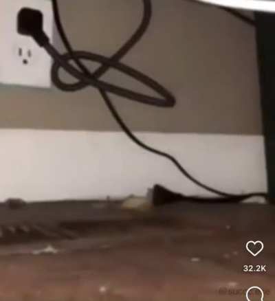 🔁🔁🔁🔁