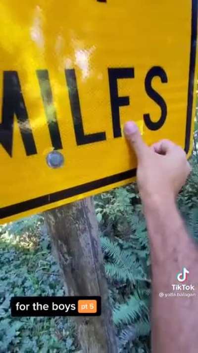 Do TikToks count?