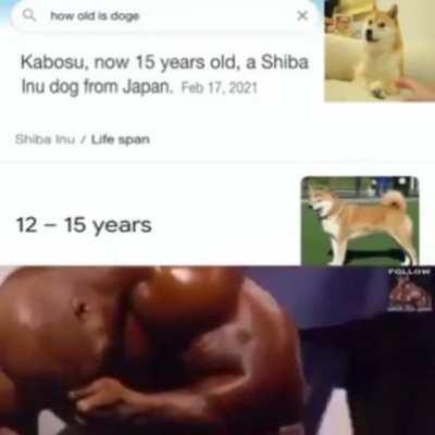 NOOOOOOOOO!!!