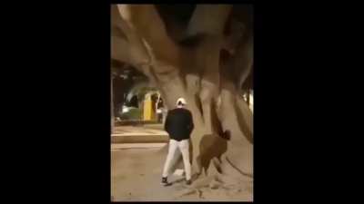 Pee