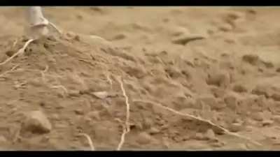 The commercial that you are looking for
