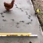 Fuck this footpath