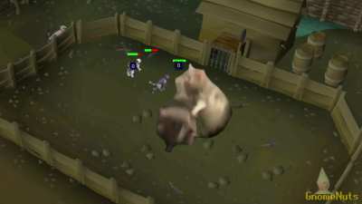 The Rat Pits after midnight