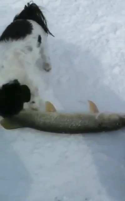 This farging ice hole...