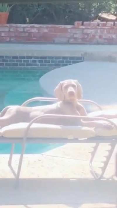Chilling out.