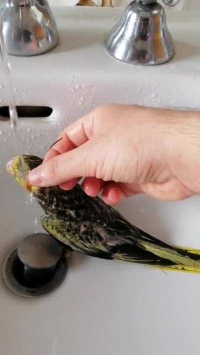 It's bathing time..