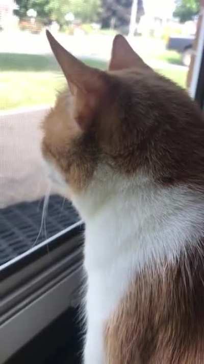 “‘Sup.”