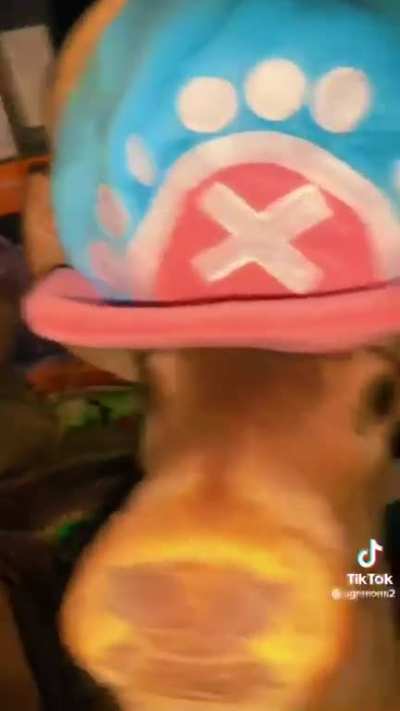 Real life one piece