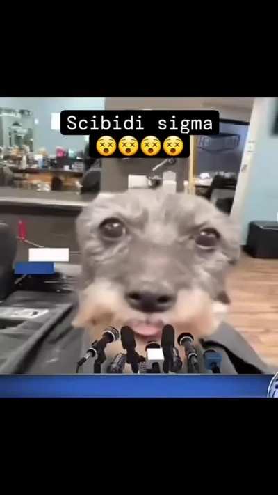 The