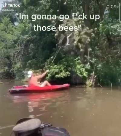 I'm gonna go F*ck up those bees