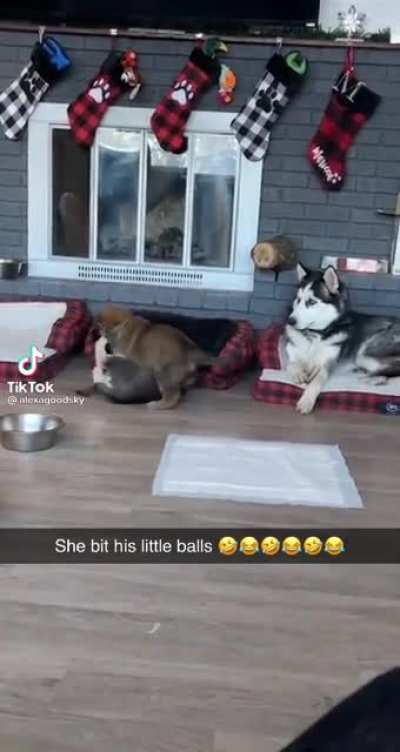 RIP Balls