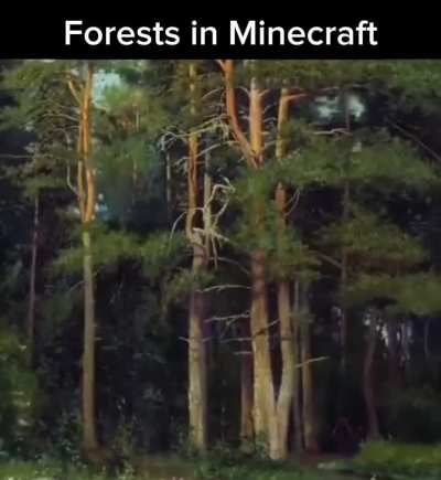 Forests in this game are like Appalachian woods
