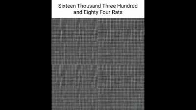 16384