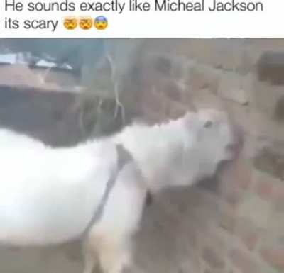 🤯🤯😨