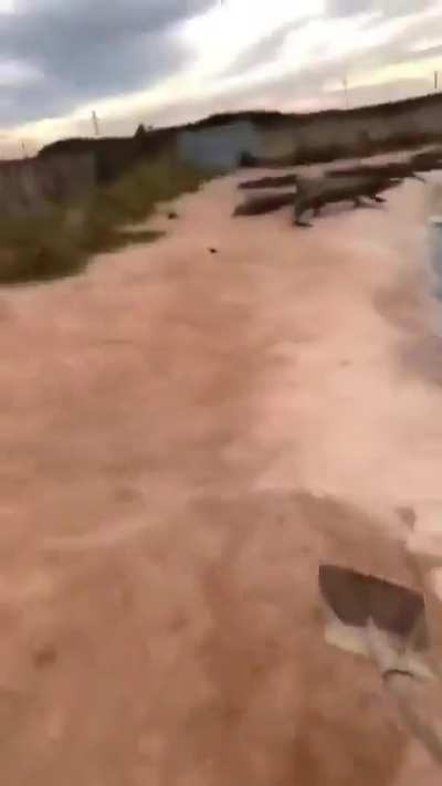 Quanto será que esse cara ganha de insalubridade ??