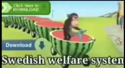 3.99