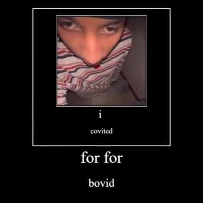 I test bovid to