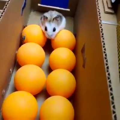 Maybe Maybe Maybe