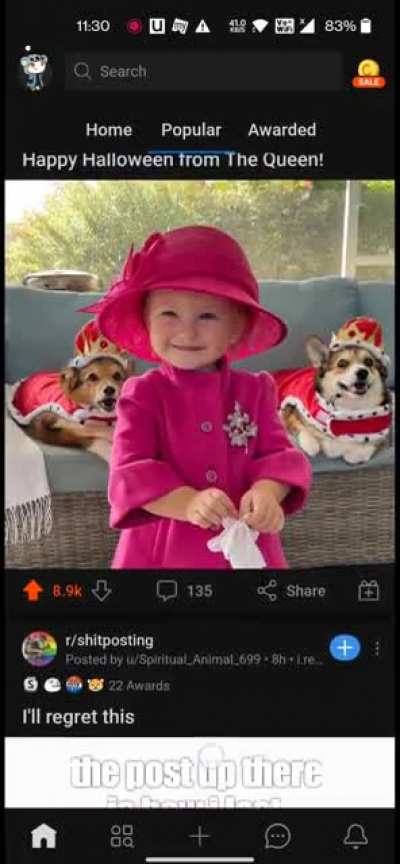 Sus